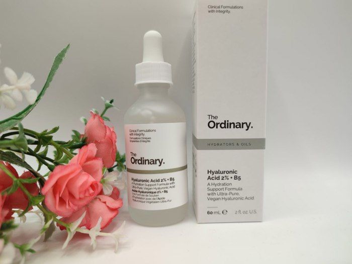 L'acide hyaluronique ordinaire 60 ml