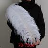 White Ostrich Feathers 15-80cm for Lighting, Wedding Aisle Decor, Photo Props, and Vase Ornaments