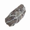Aquarium Dinosaur Reliquiae Decoration Reptile Resin Dinosaur Reliquiae Rock   for Fish   Aquarium