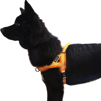 Petstree Dog Air Cushion Easy Walk Harness, ORANGE