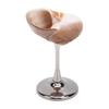Conch Shell Wine Glass Wedding Wine Cup Martini Goblet Cocktail Drinkware Drinking Stemware for Birthday Wedding