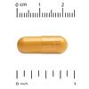 High Absorption Curcumin, 120 Veggie Caps