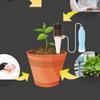 Drip Irrigation Automatic Water Spikes Indoor Or Outdoor Plant Watering Stakes