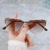 1Pc Fashion Retro Cat Eye Sunglasses for Women, Large Frame Sunshade Uv400, Stylish Outfit, Beach Vacation