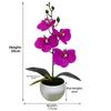 Fake Bonsai Butterfly Orchid Bathroom Decor Butterfly Orchid Bonsai Decoration Pampas Realistic Appearance Low Maintenance