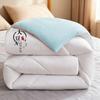 Super Thick Soybean Fiber Quilt: All-Season Spring, Autumn & Winter Duvet, 12 Jin