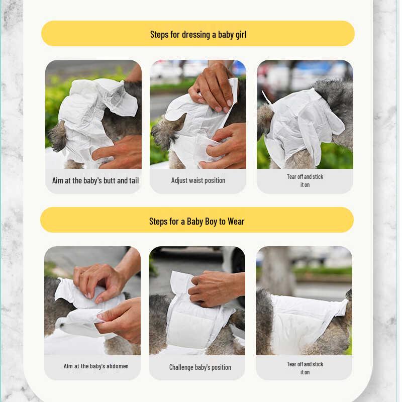 Dog Diapers for Females: Teddy, Corgi, Border Collie - Size Chart Included