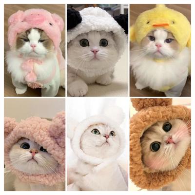 Gatos – Ropa