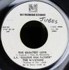 7inch Record WINSTONS  The Greatest Love  Birds Of A Feat MM151 Metromedia Reco Jamaica SoulFunk Used
