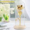 Konservierte Rosenblume LED-Licht mit Glaskuppel & Holzsockel Valentinstag Hochzeitsgeschenk