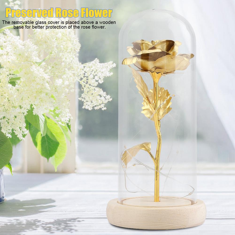 Konservierte Rosenblume LED-Licht mit Glaskuppel & Holzsockel Valentinstag Hochzeitsgeschenk