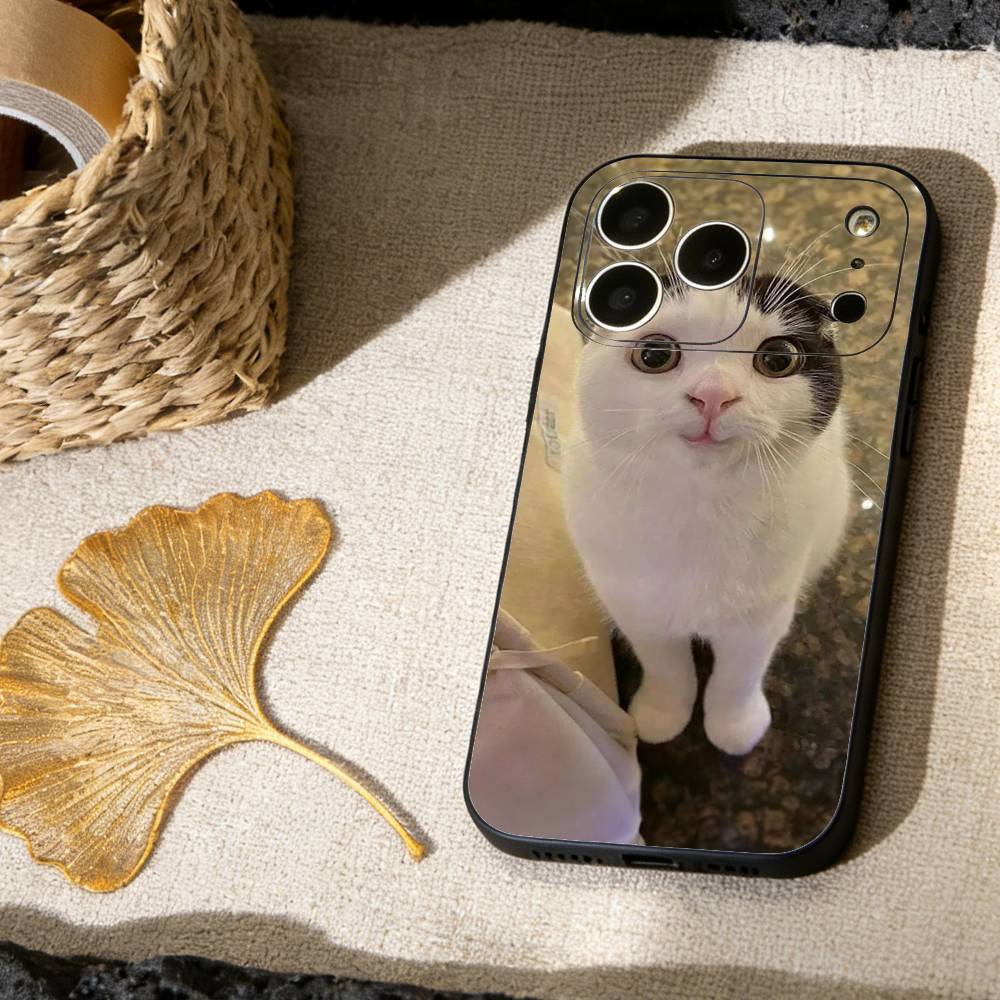 Funny Of Pet Cats  Phone Case For iPhone 17, 16,15,14,13,12,11 X XR Plus,Others Soft Black Cover
