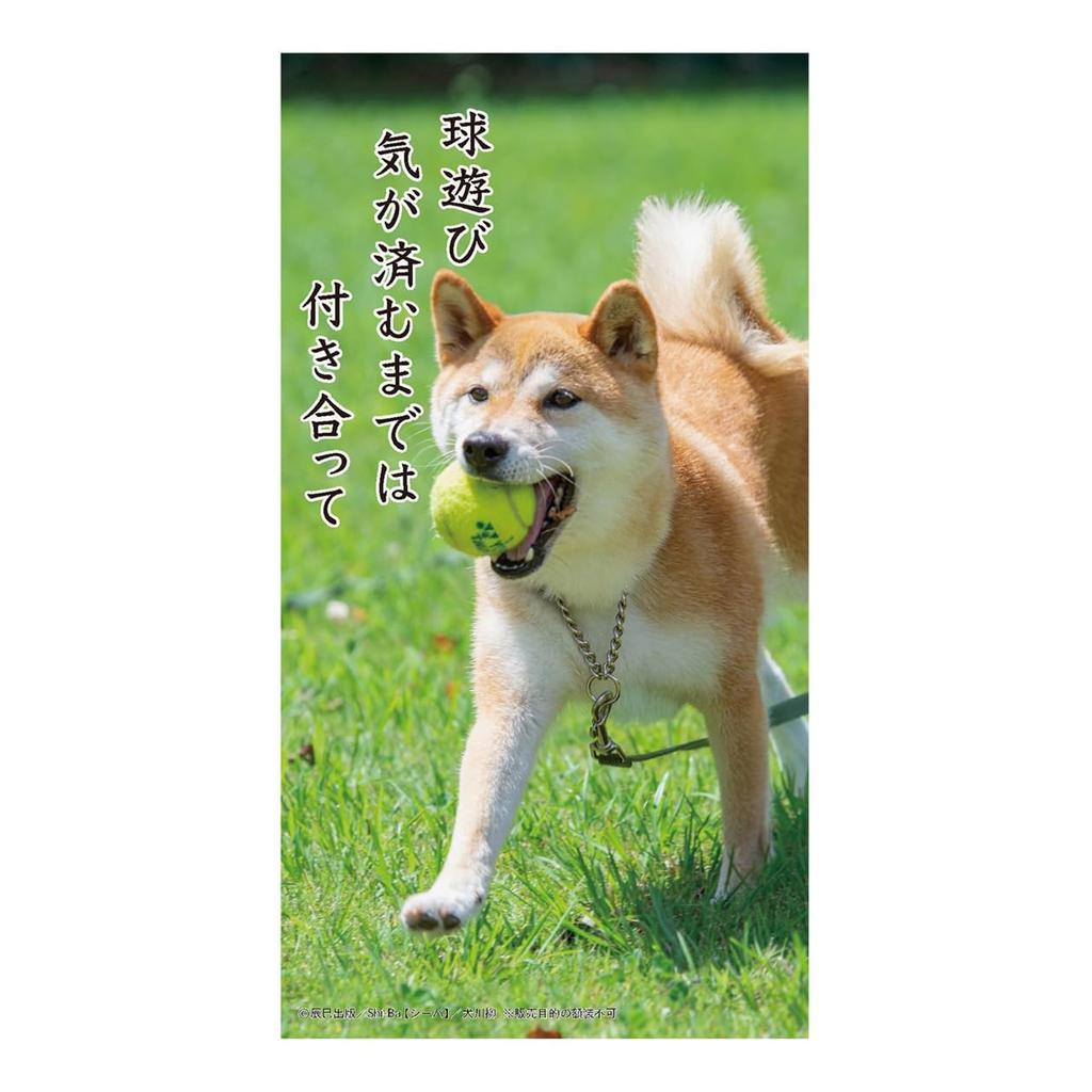 2026 Calendar Dog Senryu (Desktop)