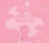 BLACKPINK's MINIATURE WORLD [BLACKPINK THE GAME COUPON CARD & PHOTOCARD COLLECTION]