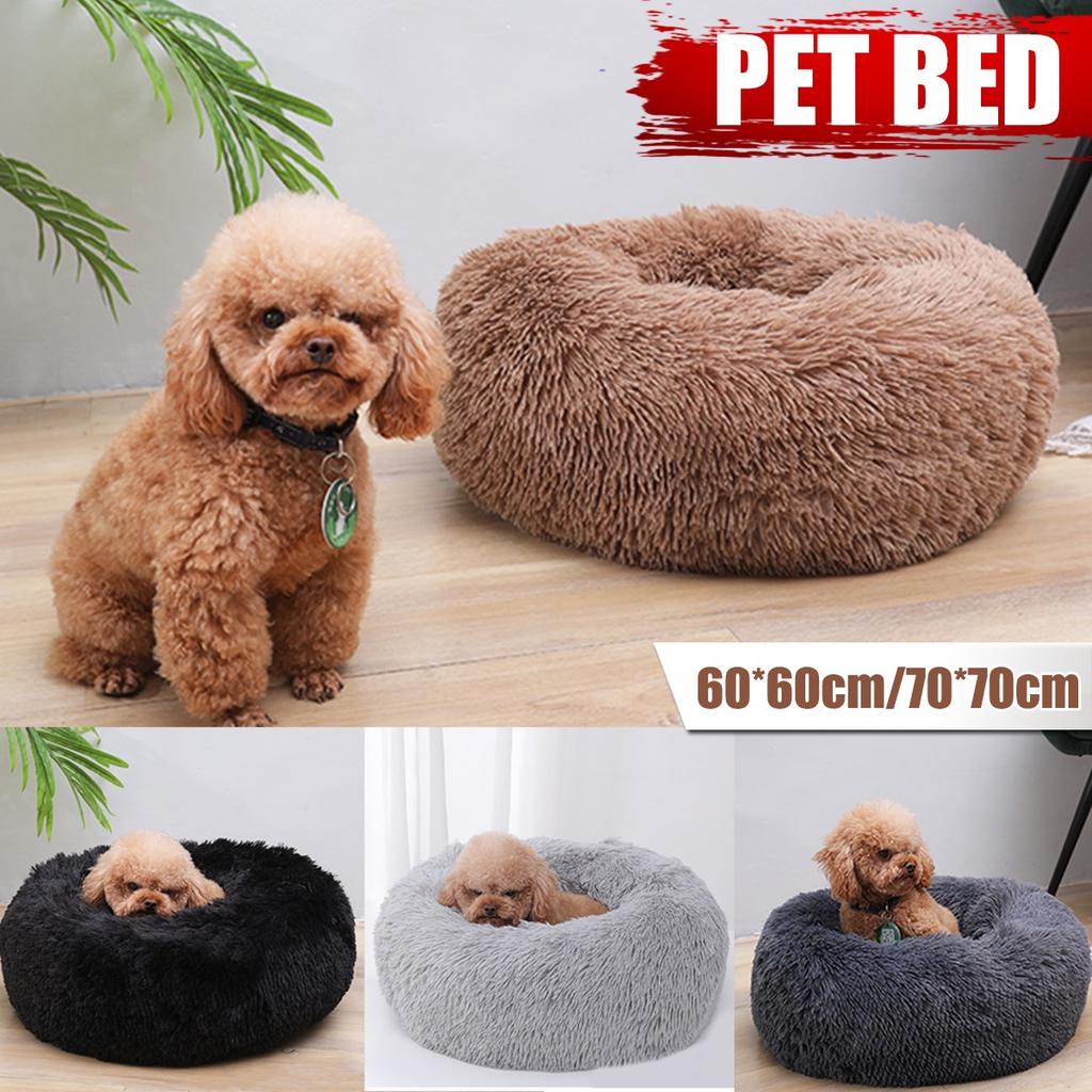 medium dog bed