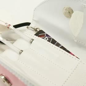 Dardera Dynastie D-Evolution Darts Case Kiyama Pink