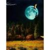 Full 5D Diy Diamond Painting Moon Landscape World Diamond Embroidery Cross Stitch Home Decor Handmade Gift