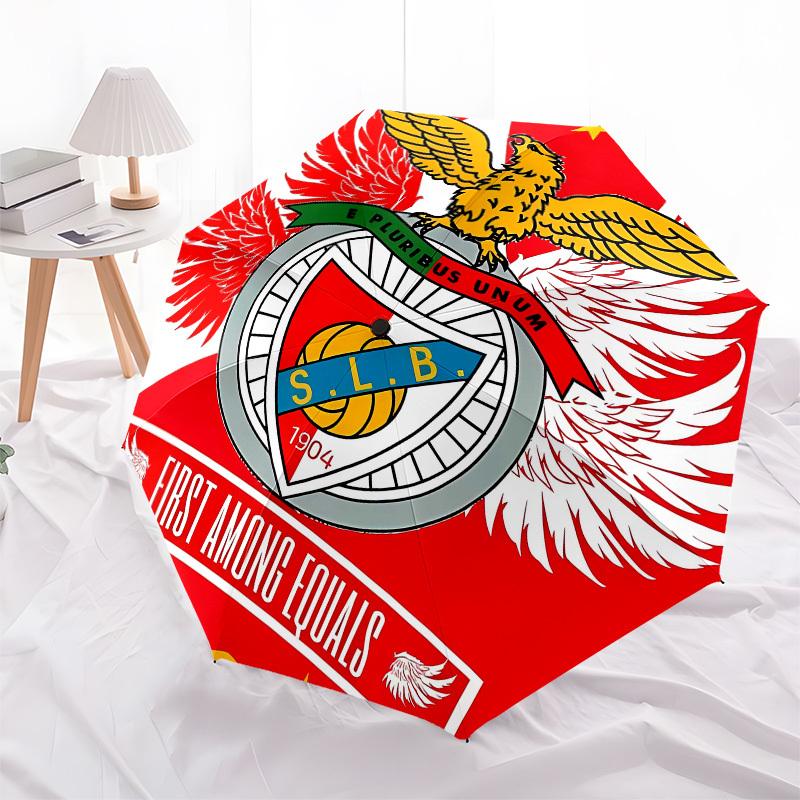 Eagle, Crest Automatic Opening and Closing, 8 rib Structure Portable Umbrella, Suitable for Men and Women in All Seasons Perfect Gift for H
