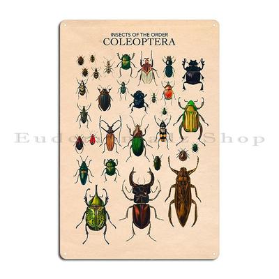Vintage Beetle Insect Poster Notebook Coleoptera Metal Sign Poster Custom Garage Customize Wall Decor Wall Cave Tin Sign Poster