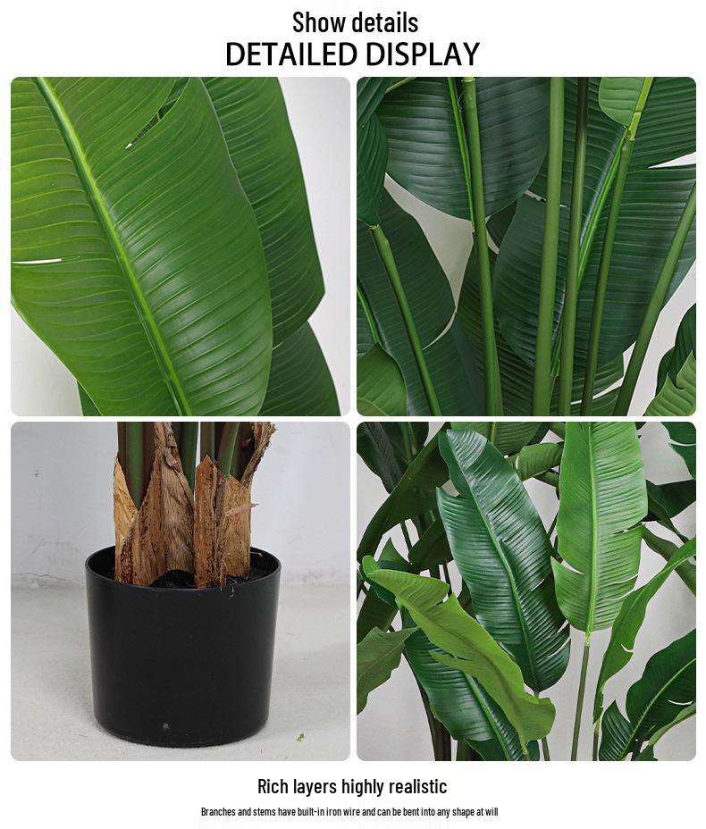Large Monstera Banana Leaf Plant for Indoor Display and Corner Landscaping