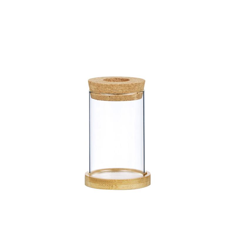 Mini Glass Flower Pot for Indoor Plants - Hydroponic Ornament with Moss Landscape