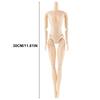30cm Human Body Figure Model Educational Realistic Male Female Human Body Structure for Kids Scientific Cognitive Toys