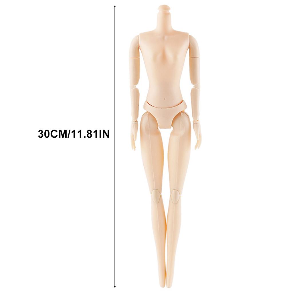 30cm Human Body Figure Model Educational Realistic Male Female Human Body Structure for Kids Scientific Cognitive Toys