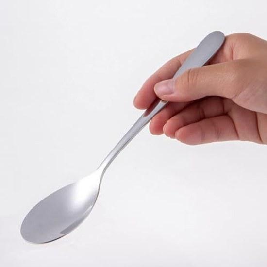 Naga Tsubame Sanjo Smooth Texture Curry Spoon 18cm Stainless Steel Made Japan #4400
