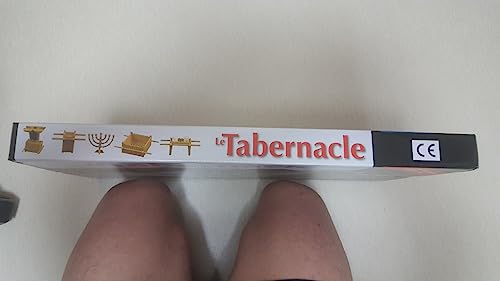 RaoNEE Das Stiftshütten-Modellbauset - Lehr- und Lernmittel - Einfach zu montieren 1:90 Maßstabsmodell - Versammlung des Alten Testaments