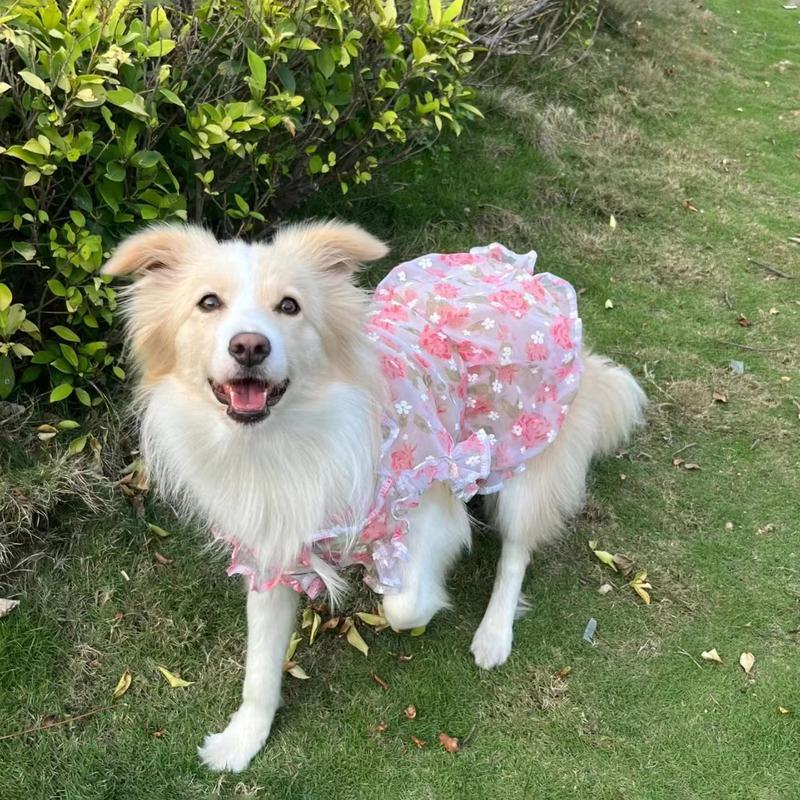 Summer Thin Mesh Pet Dog Clothes Fashion Flower Print Pink Princess Dresses For Meium Large Dogs Samoye Golden Retriever Dress