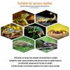 Reptilien- & Vogel-UVB-Lampe Kalziumlampe für Schildkröten, Bartagamen und Echsen