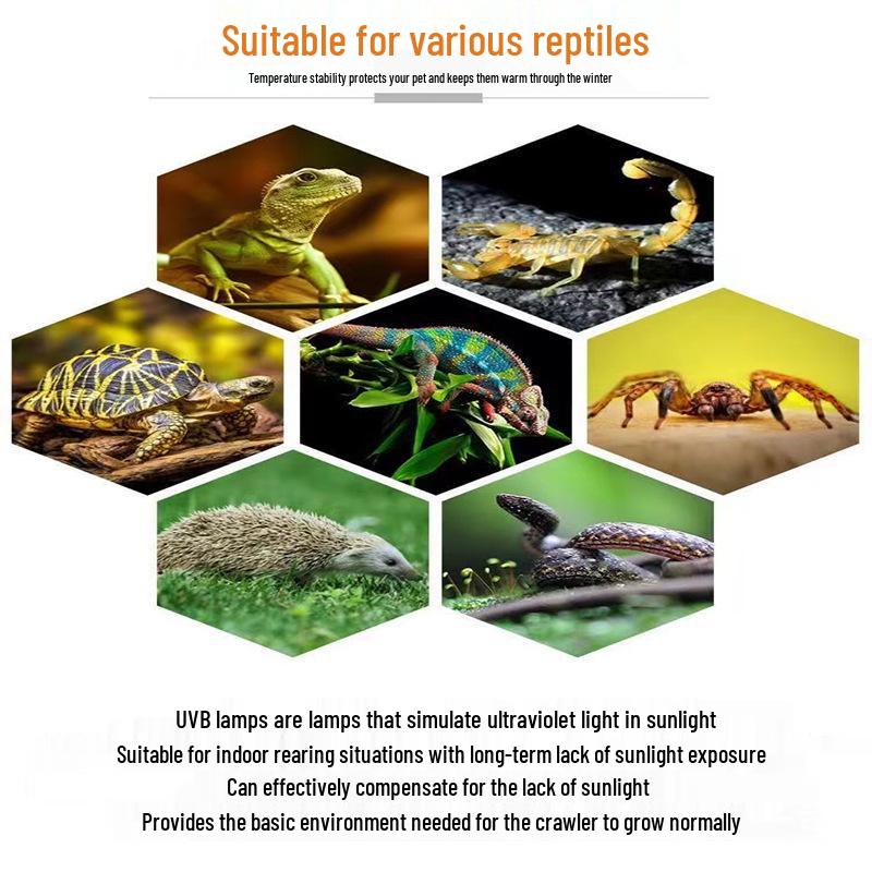 Reptile & Bird UVB Bulb Calcium Lamp for Tortoises, Bearded Dragons, and Lizards