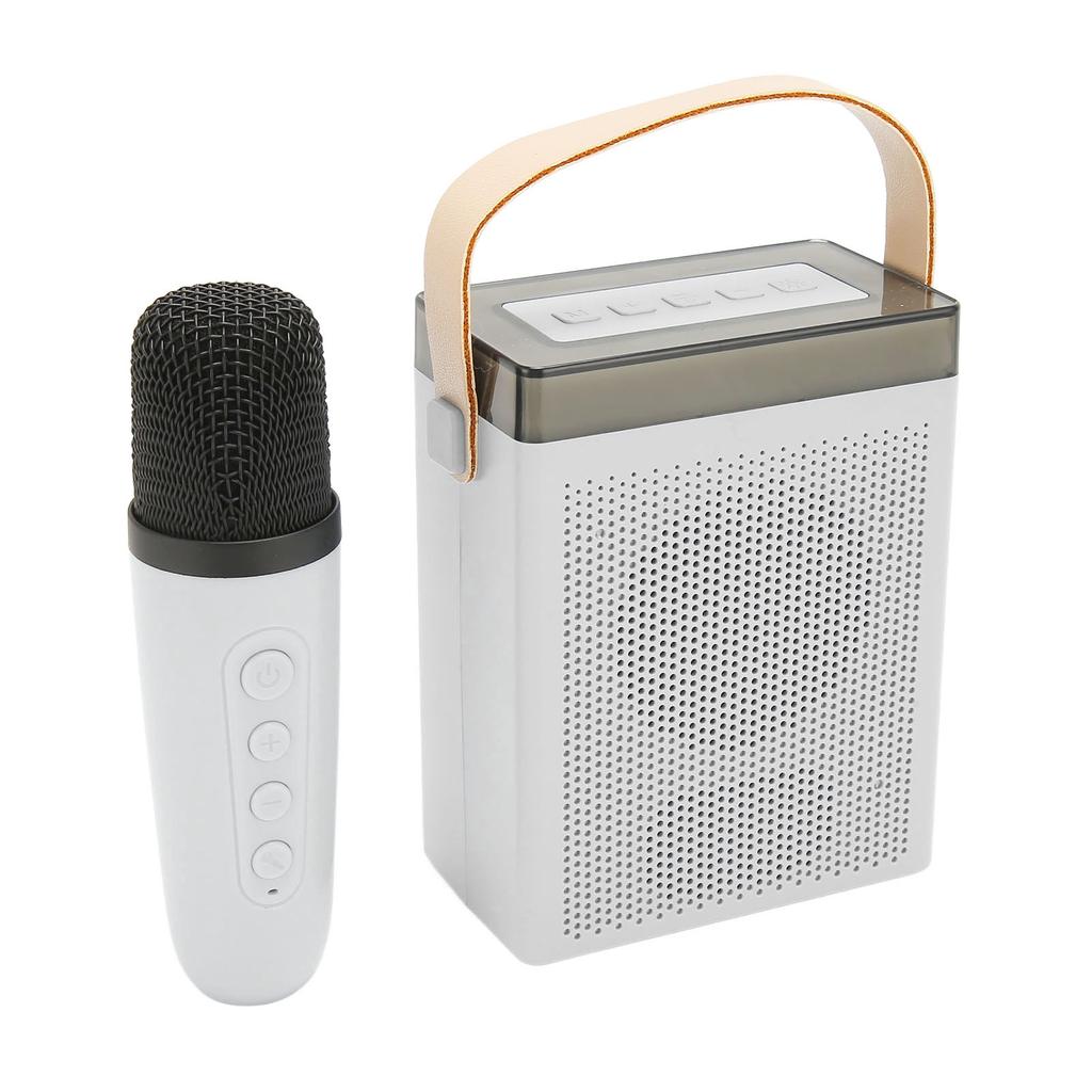 Karaoke Machine Set with RGB Light Rechargeable Bluetooth Speaker with 1 Wireless Microphone for Home Party KTV White