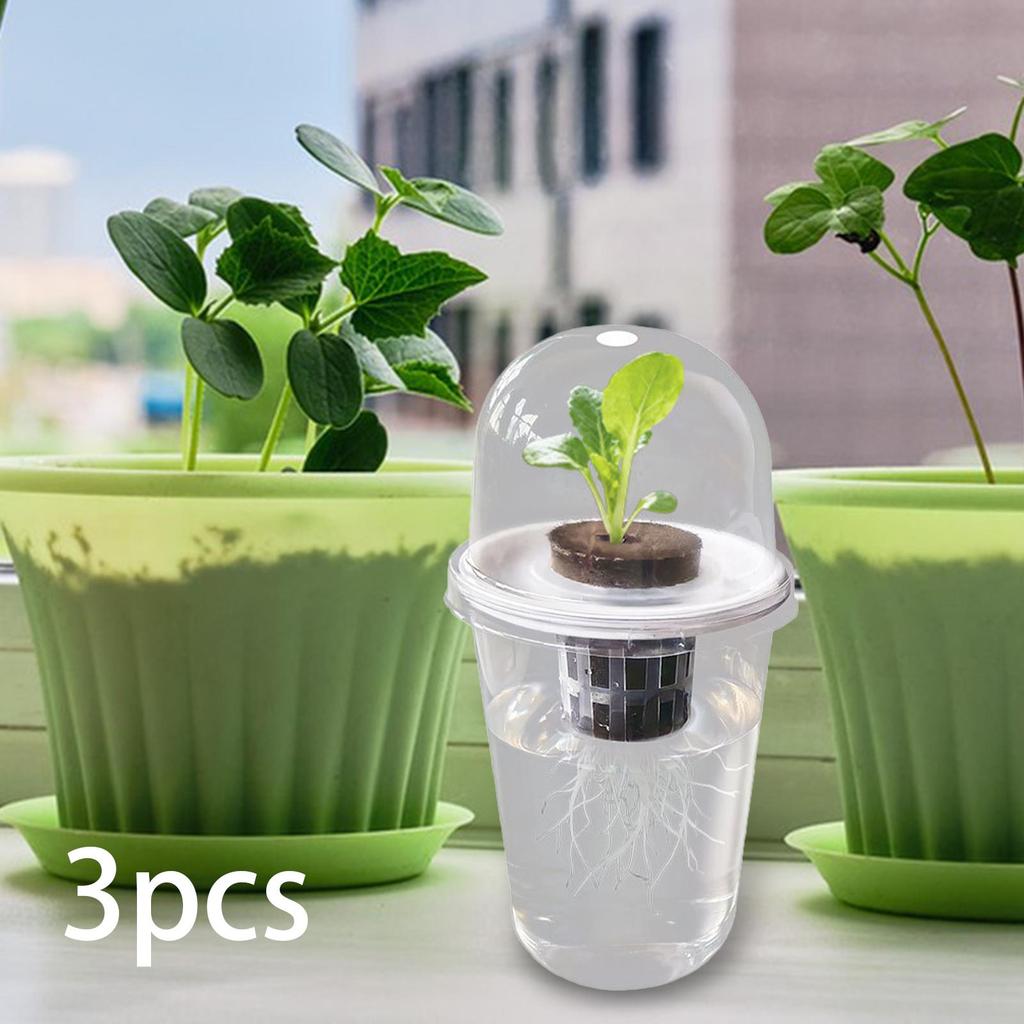 Kit Vaso per Coltivazione Idroponica Set Completo per Germinazione Piante per Balcone Lattuga Barbabietola Colza Prato e Giardino Didattica