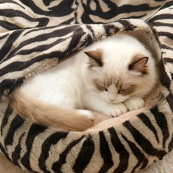 Plüsch-Katzenbett mit Kapuze, halbgeschlossenes beruhigendes Nest, selbstwärmende Höhle, gemütliches Bett für Wohnungskatzen oder kleine Hunde, abnehmbarer waschbarer Bezug mit
