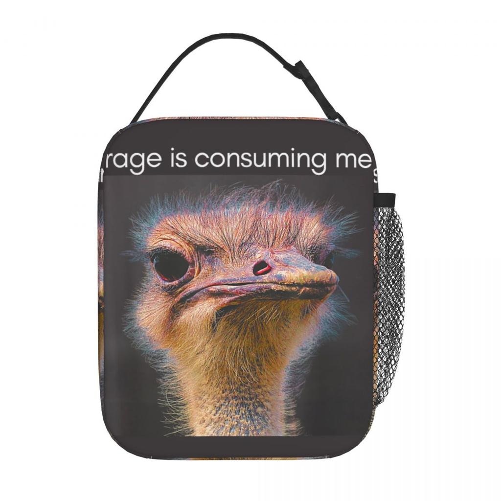 Rage Is Consuming Me Funny Cat Kitten Meme Humor Lunch Bag Casual Lunch Box Portable Insulated Thermal Lunch Bags Cooler Bag