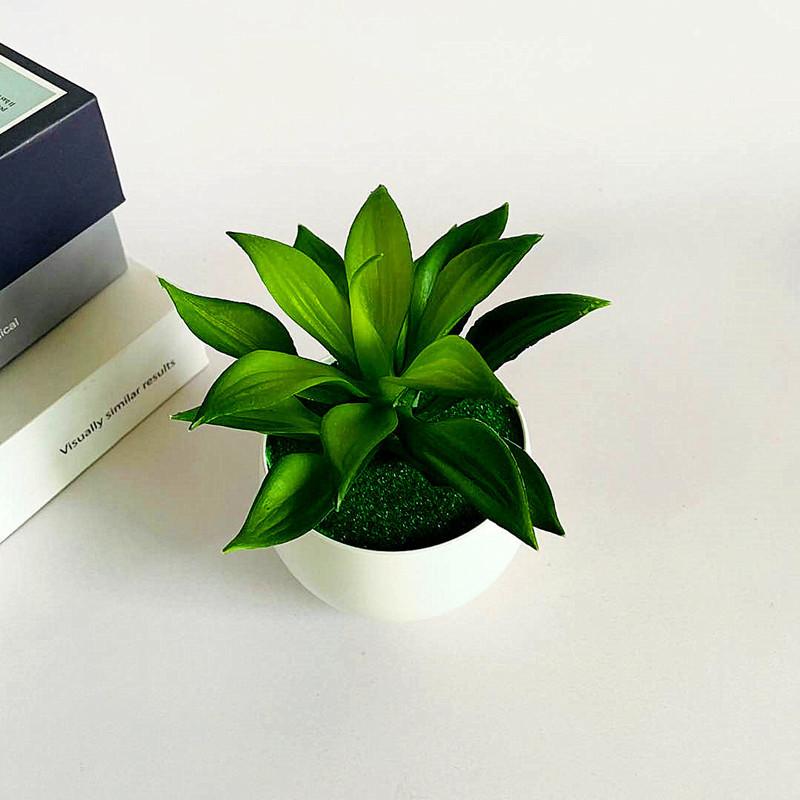 Artificial Sinocrassula Indica Potted Plant Succulent Plant For Home Decor