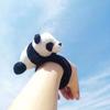 Slap Bracelet Cartoon Panda Doll Decor Color Matching Elastic Flexible Band Soft Plush Snap Bracelet Couple Gift Wrist Decoration Wrapping Slap Band