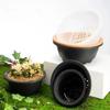 1Pcs Large New Succulent Pot Plastic Round Succulent Flower Pot Dwarf Pot Horticultural Flowerpot Balcony Flower Basket