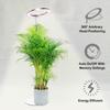 LED professional plant growth lights, with a variety of light color switching and dimming functions, suitable for indoor plants