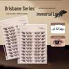 Brisbane Love Faux Mink Lashes: Soft, Natural Clusters for Beginners