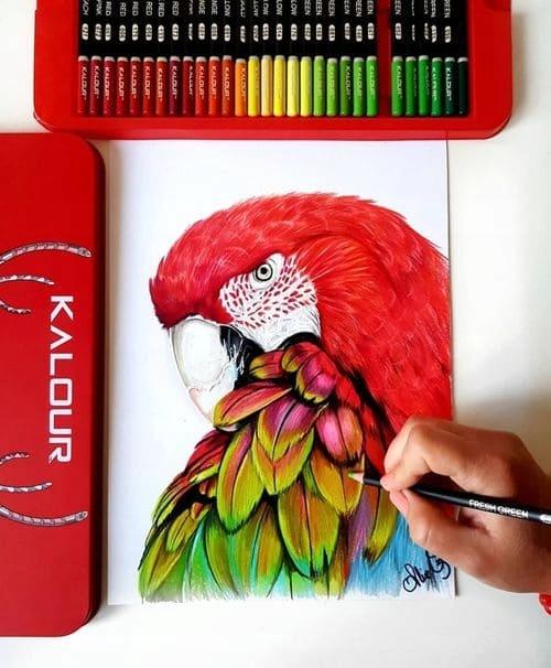Kalour professionele kleurpotloden set van artistieke kleurpotloden