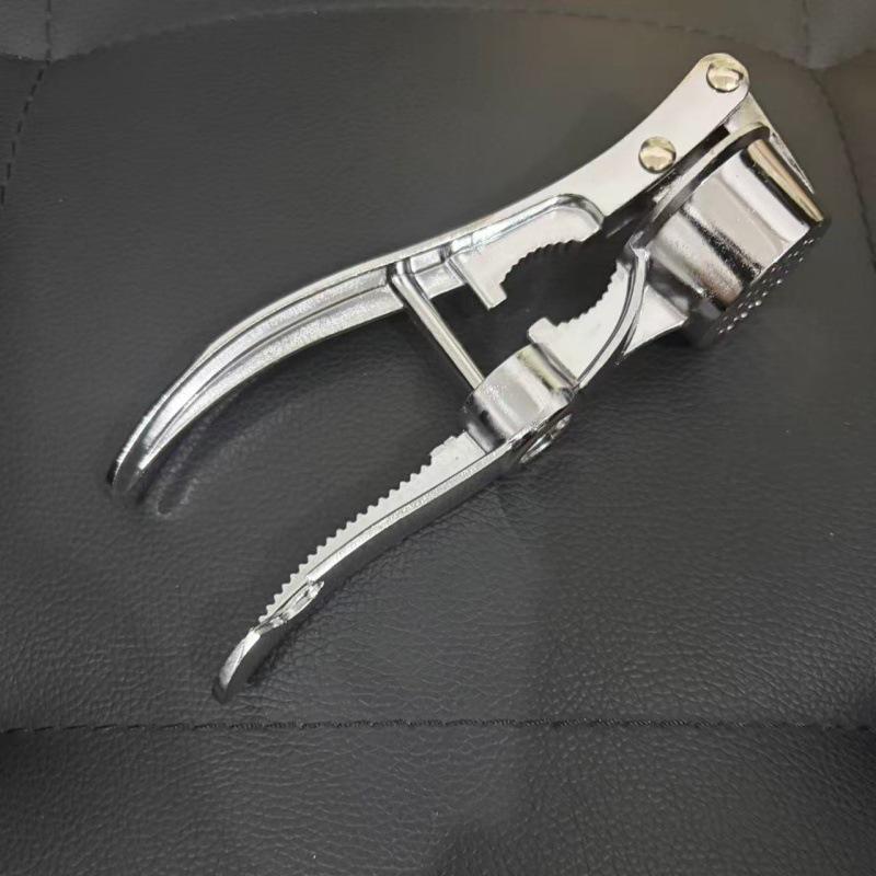 Stainless Steel Multi-Functional Manual Garlic Press & Masher
