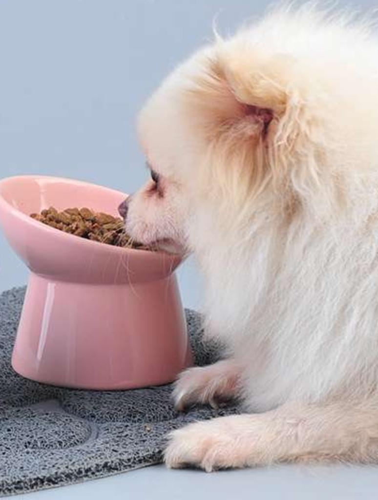 Sézected Dog Bowl Bowl for Animals Enclosure Bowl Ceramic Bowl for Cat Bowl for Cat Bowl for Water Tick Cat Dog Accessories Kitten | Dog Food