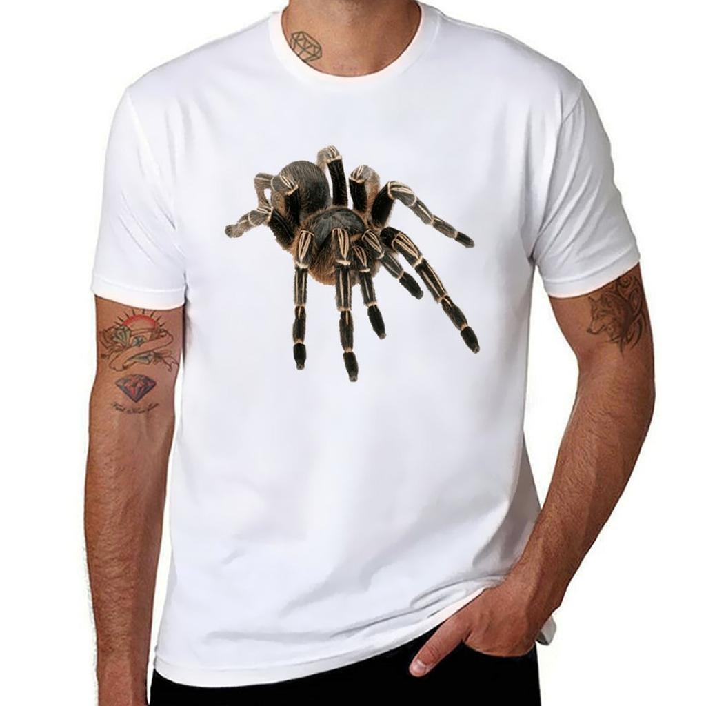 Tarantula Tshirt Unisex Graphic T Shirt Black Cotton Tshirt Plain For Unisex Package Tshirt