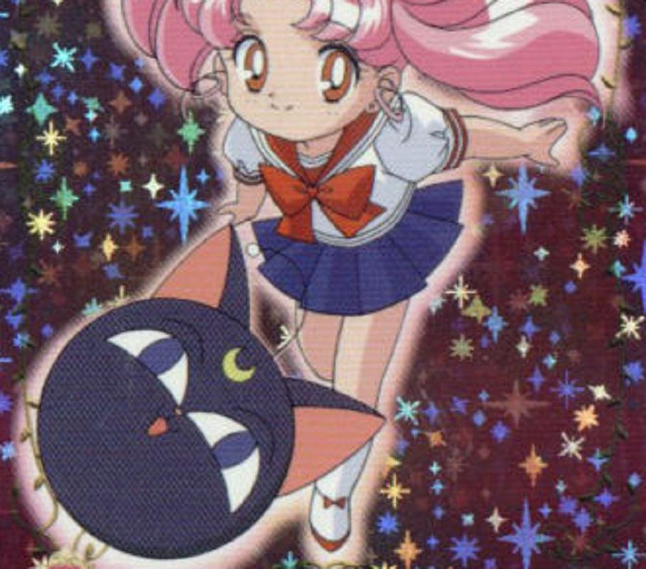 Anime Sailor Moon Pet Cat Luna P Ball Plush Beads Cushion Pillow Toy 14 Inches