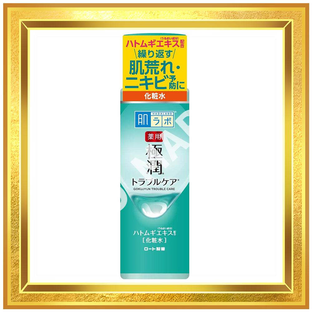 Lotion tonique nettoyante pour peau grasse Rohto Hadalabo Gokujyun 170 ml s1610
