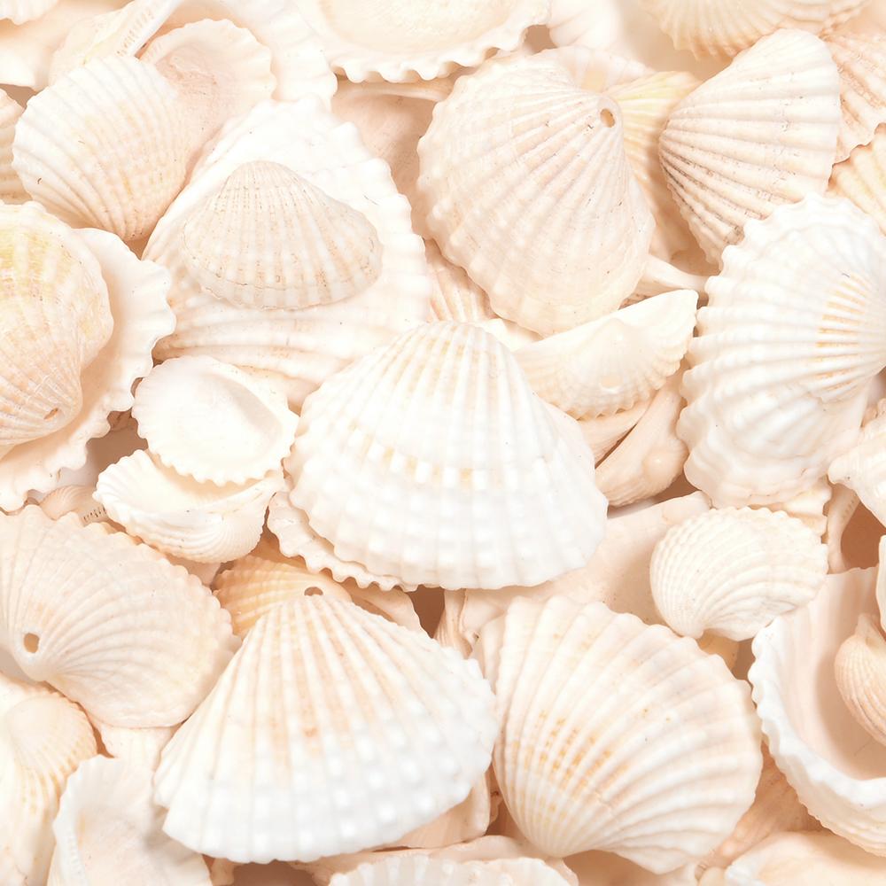 40g/lote Cuentas Blancas con Forma de Concha de Vieira Para Hacer Joyería Cuentas Espaciadoras Sueltas Amuletos Hechos a Mano DIY Accesorios para Pulsera Collar