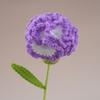Creative Wool Carnation Bouquet Hand Crocheted Colorful Crocheted Flower Wool Woven Flower Girlfriends