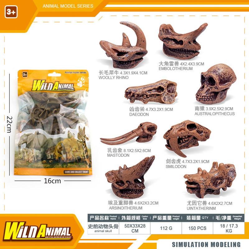 Detailed Plastic Primate Mammal Skull Replica Unique Educational Display For Collectors